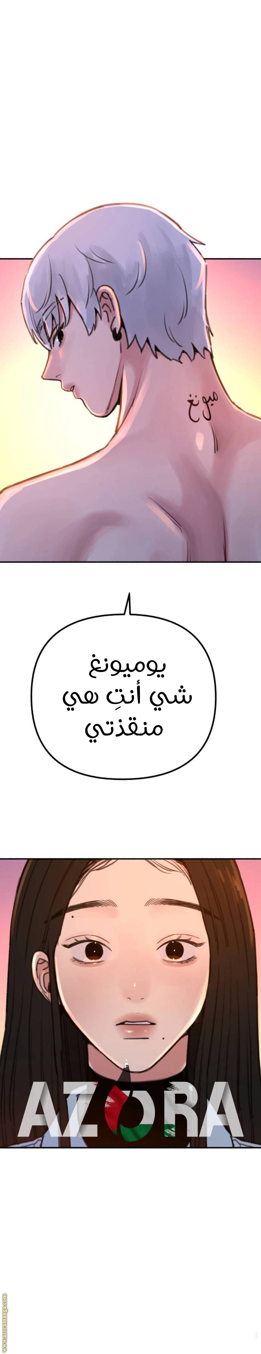 الصفحة 43