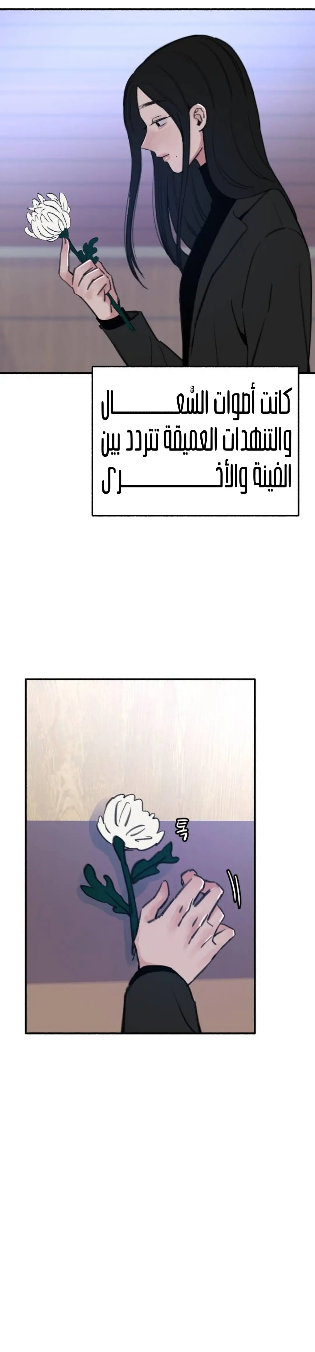 الصفحة 19