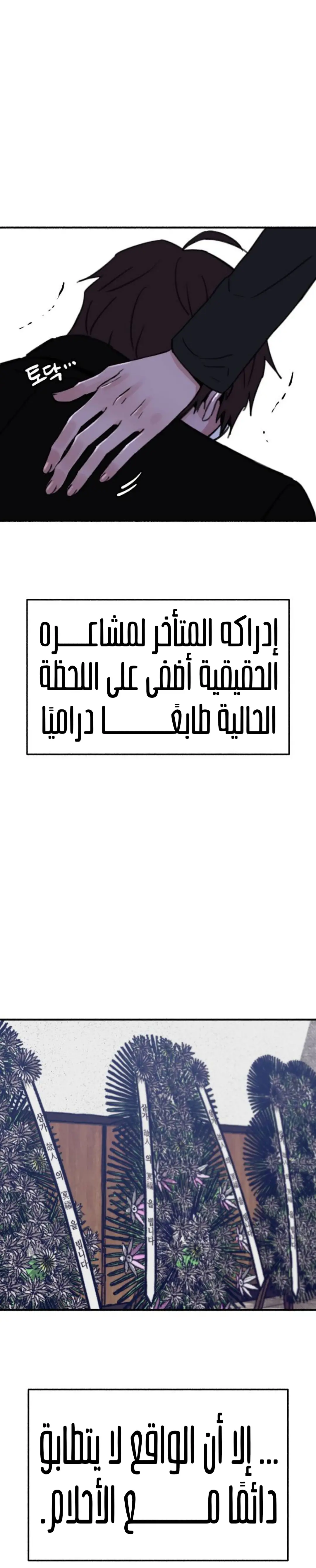 الصفحة 26