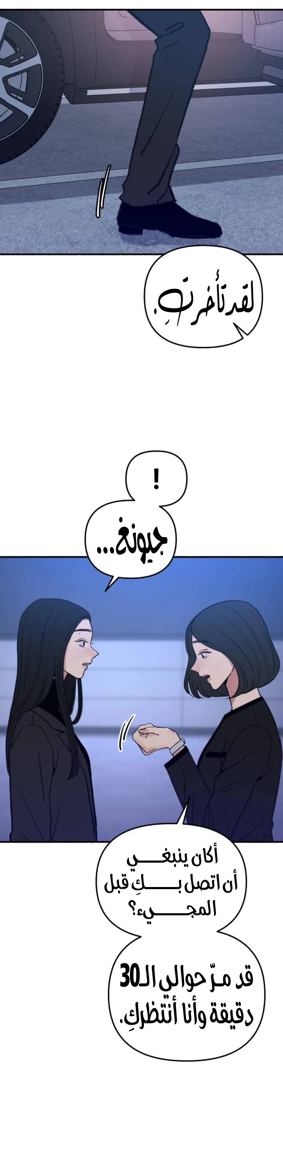 الصفحة 33