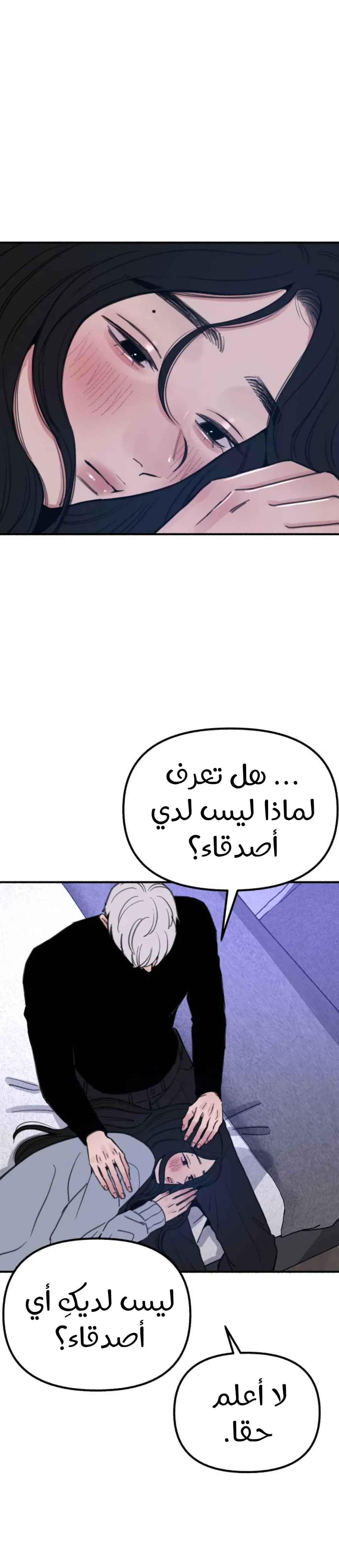 الصفحة 19