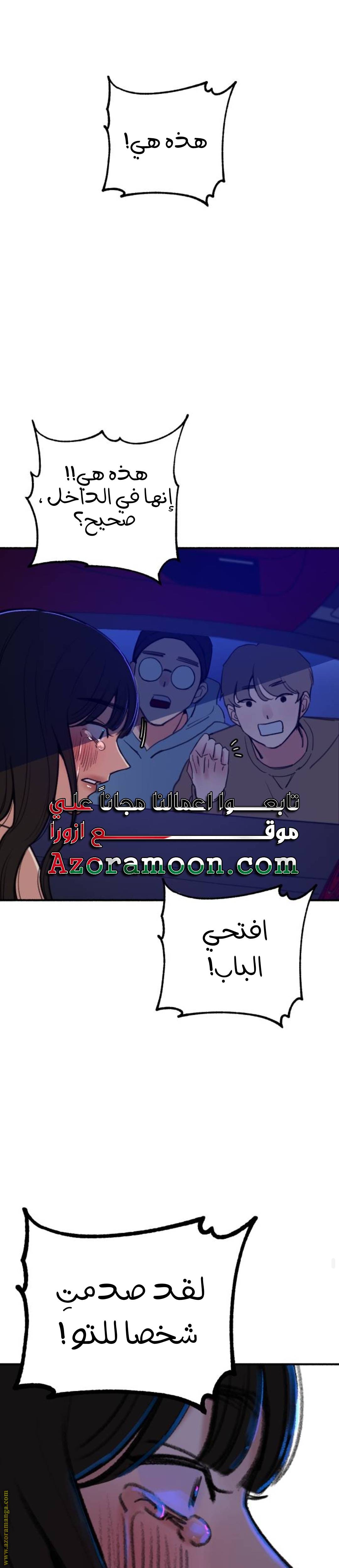 الصفحة 29