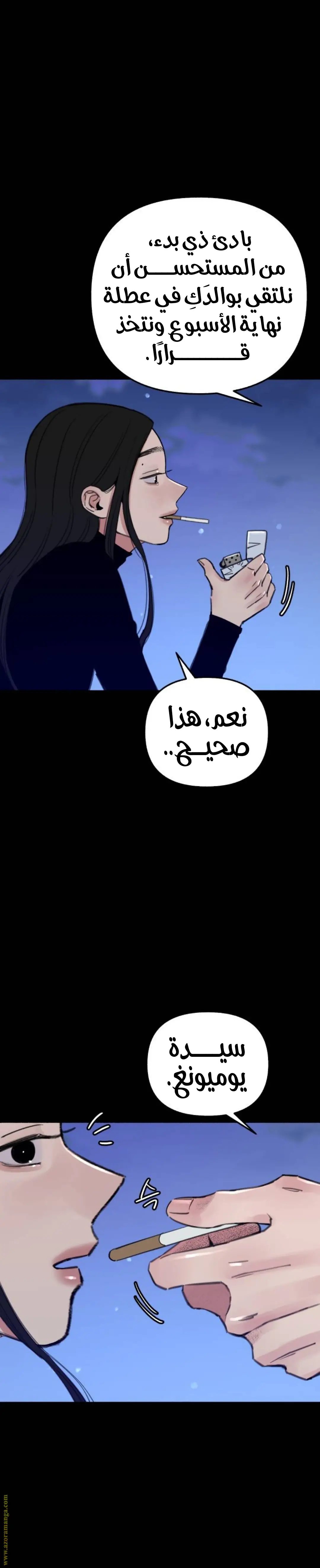 الصفحة 11