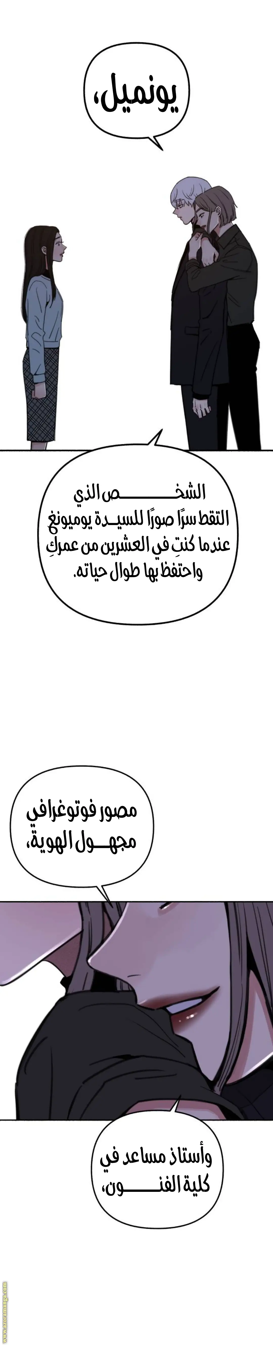 الصفحة 17