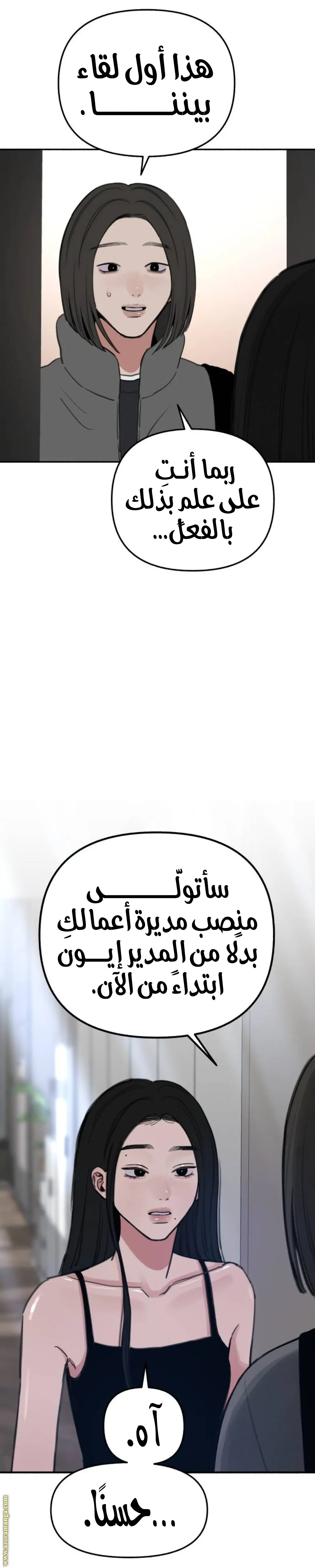 الصفحة 29