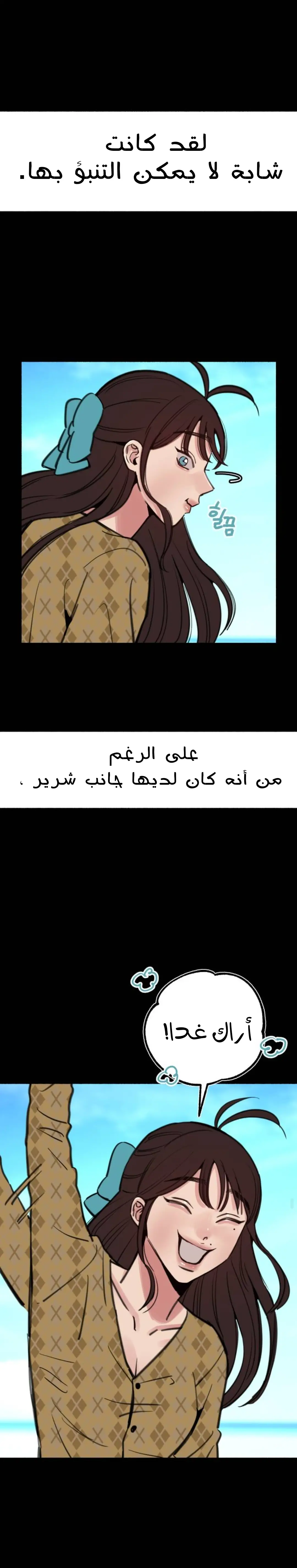 الصفحة 13