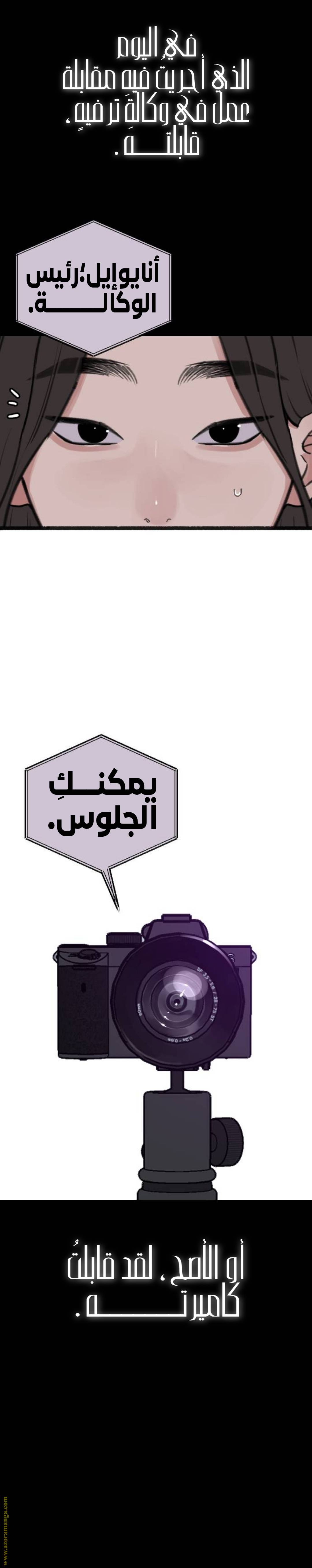 الصفحة 19