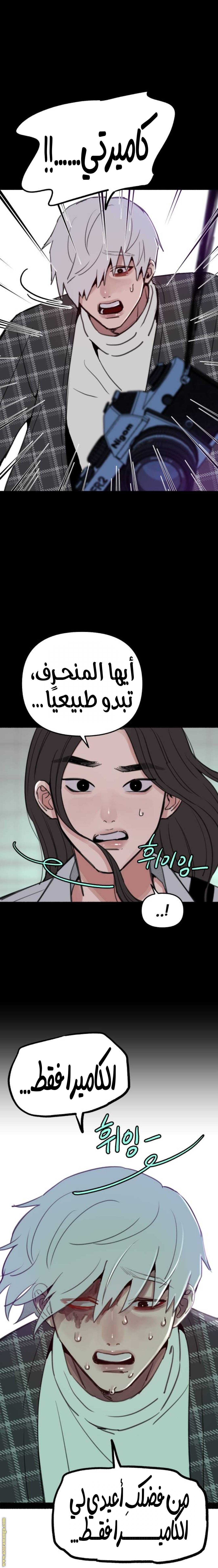 الصفحة 26