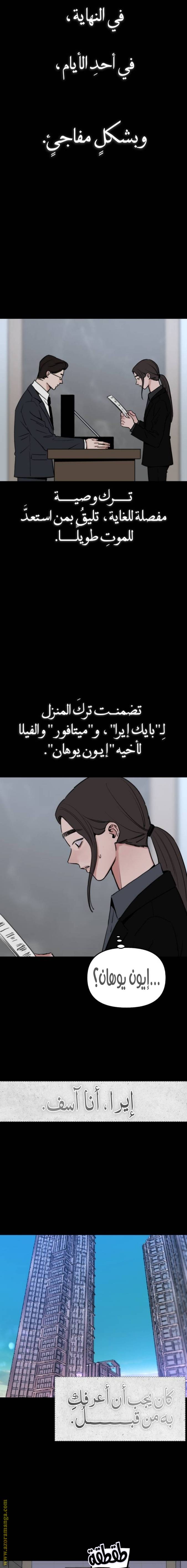 الصفحة 11