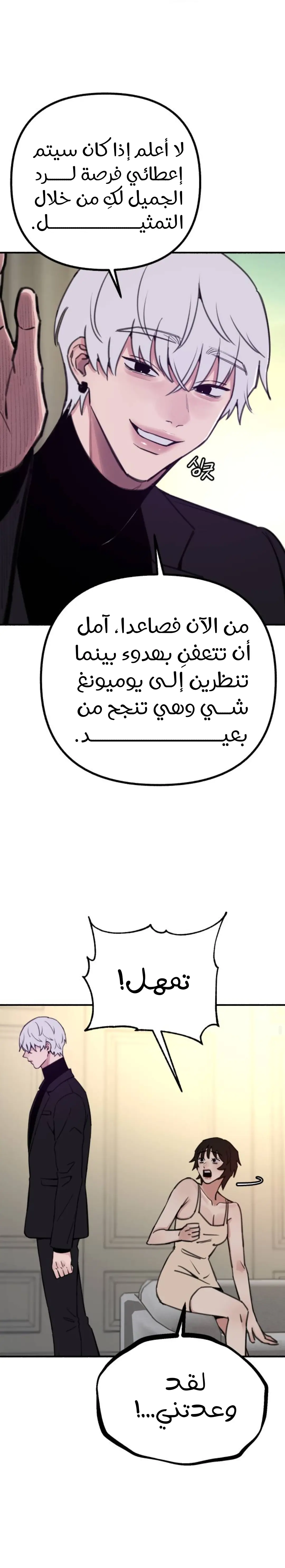 الصفحة 26