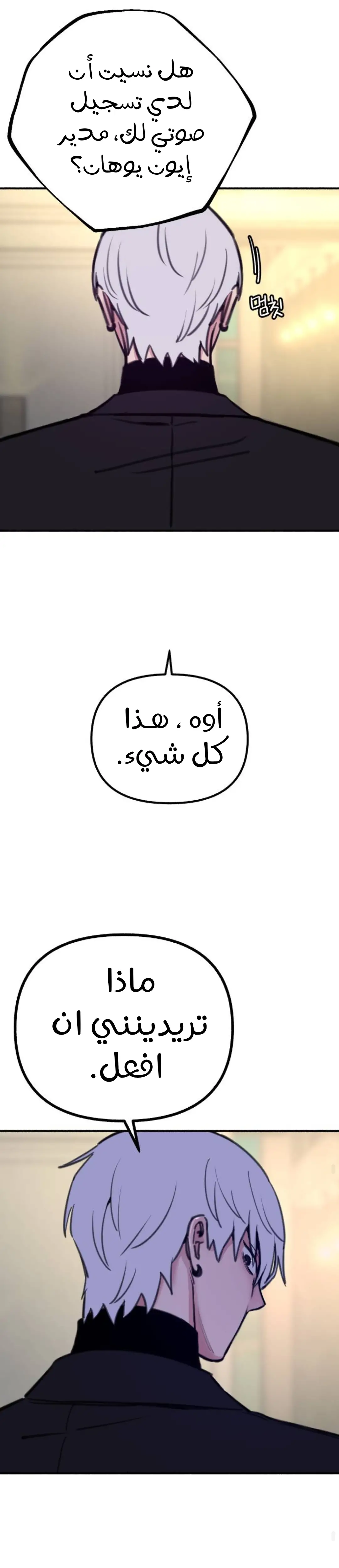 الصفحة 27