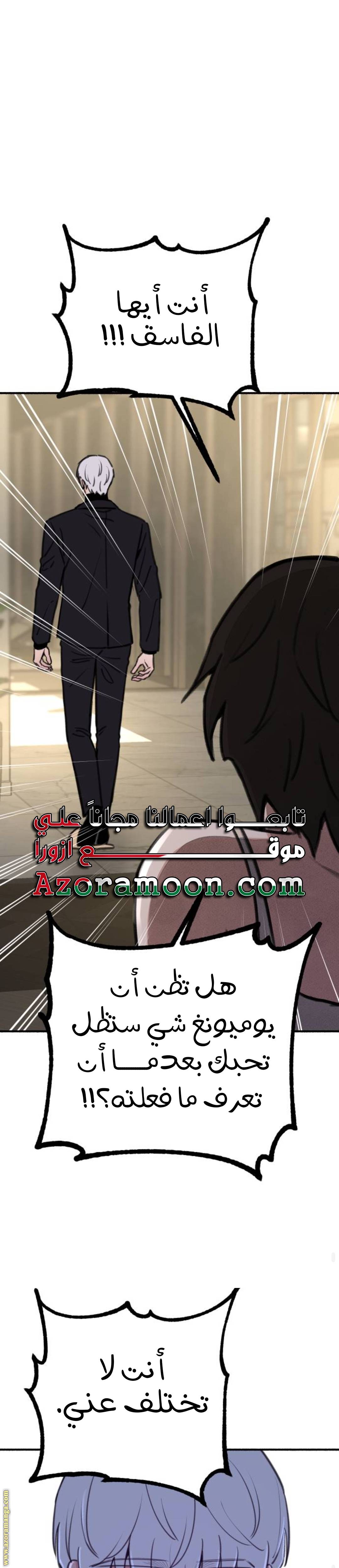 الصفحة 29