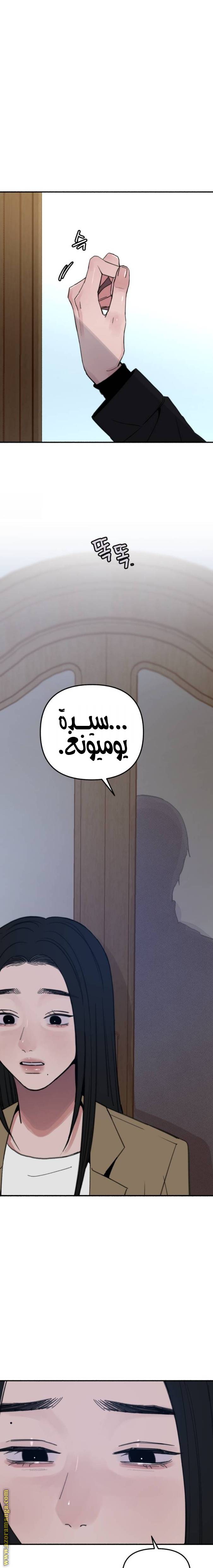 الصفحة 13
