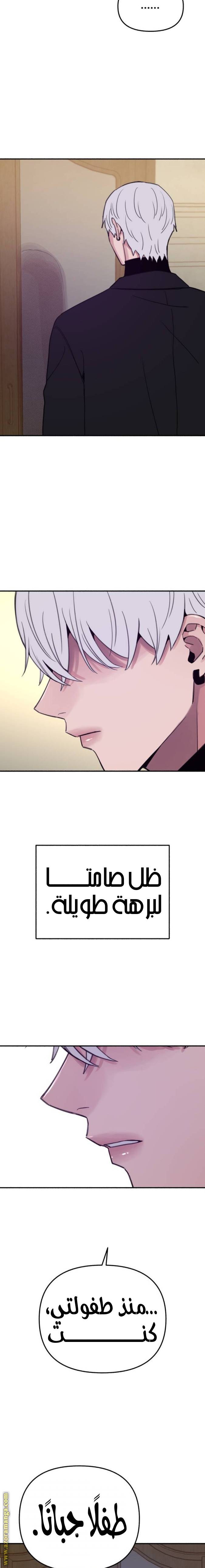 الصفحة 14
