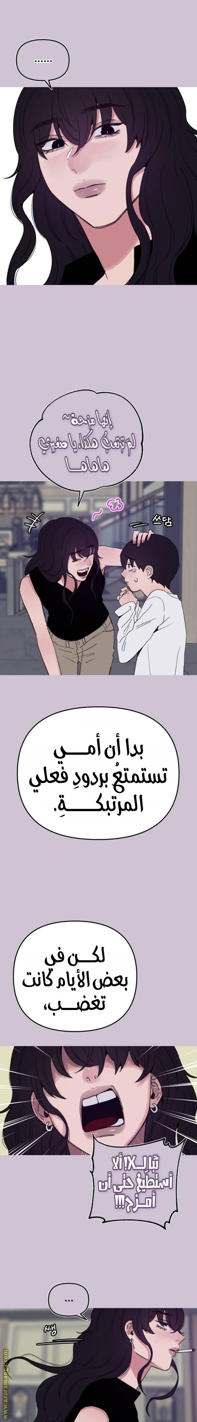 الصفحة 17