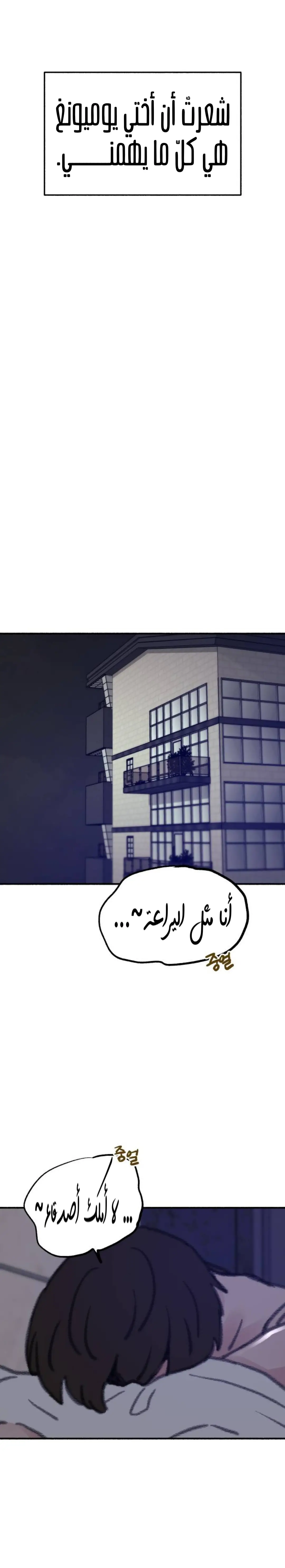 الصفحة 30