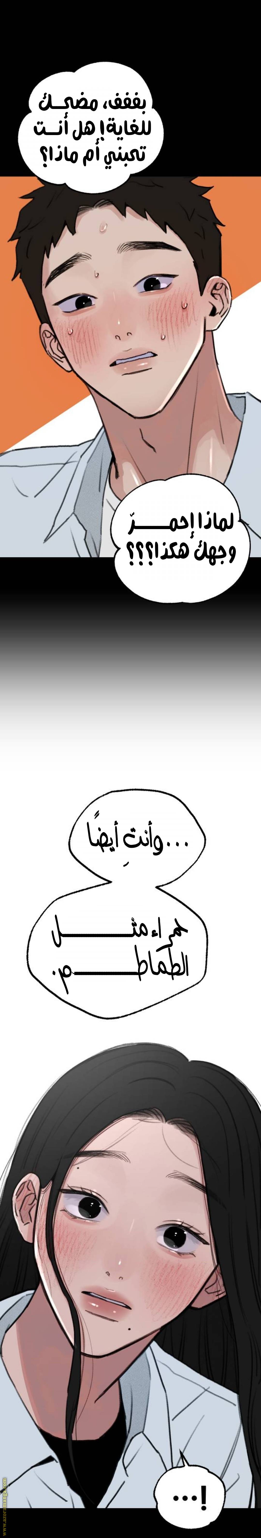 الصفحة 14