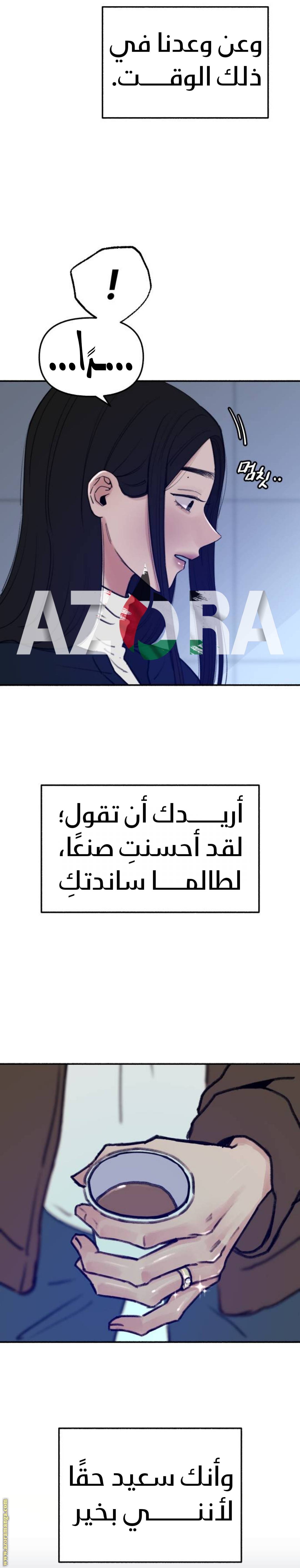 الصفحة 26