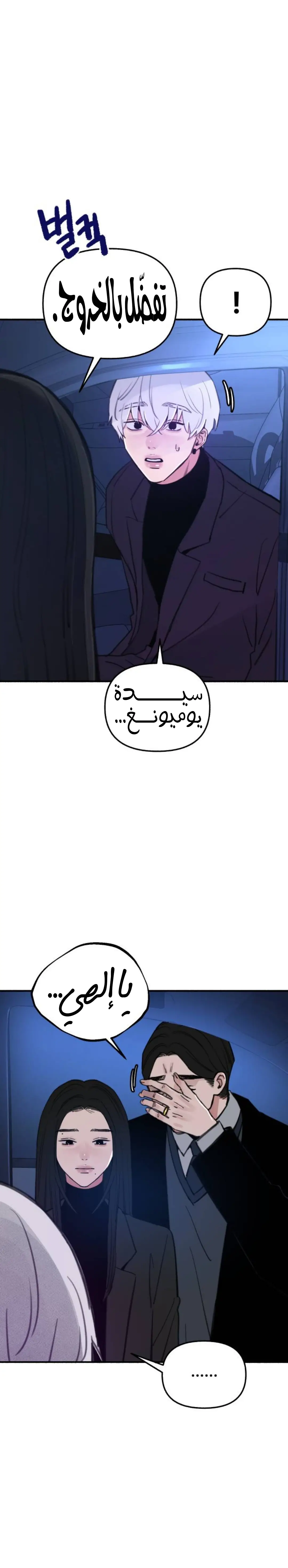 الصفحة 27