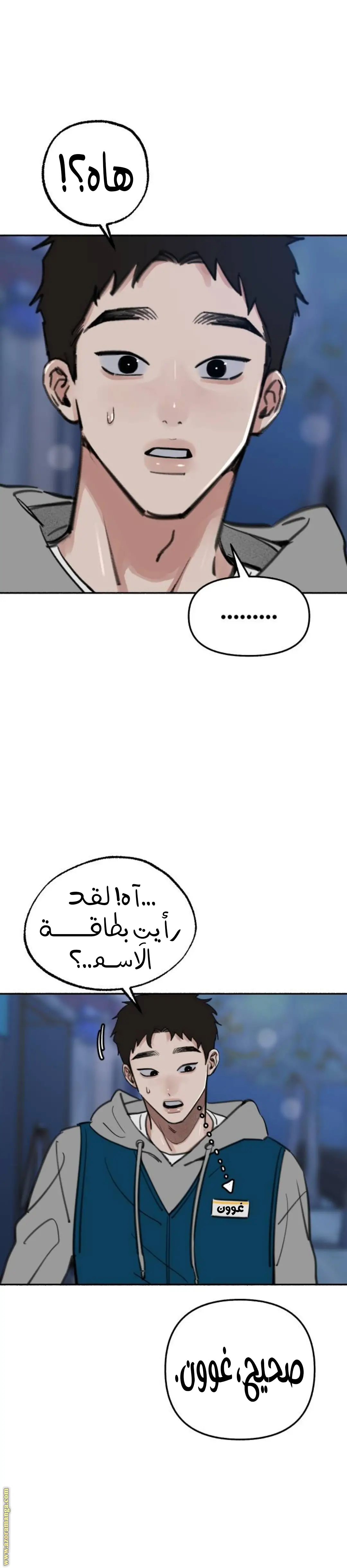 الصفحة 29