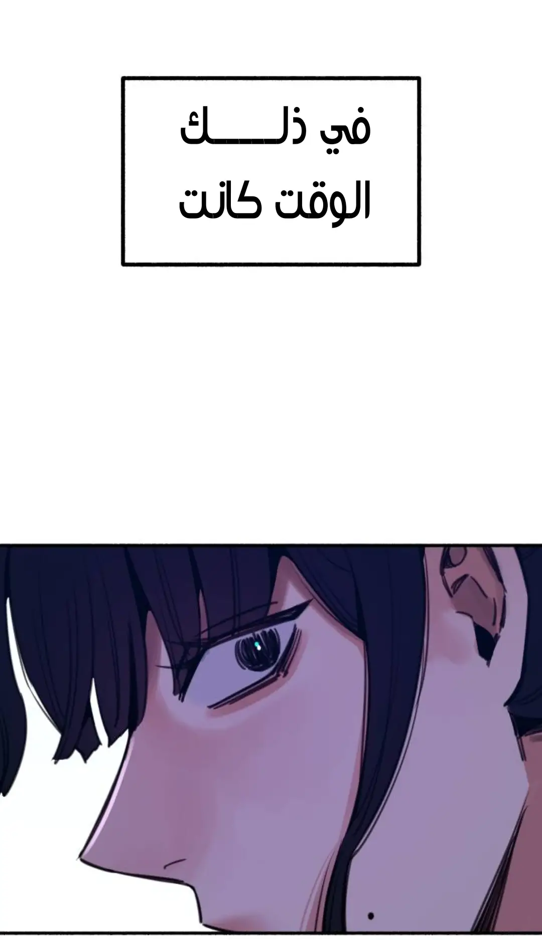 الصفحة 29