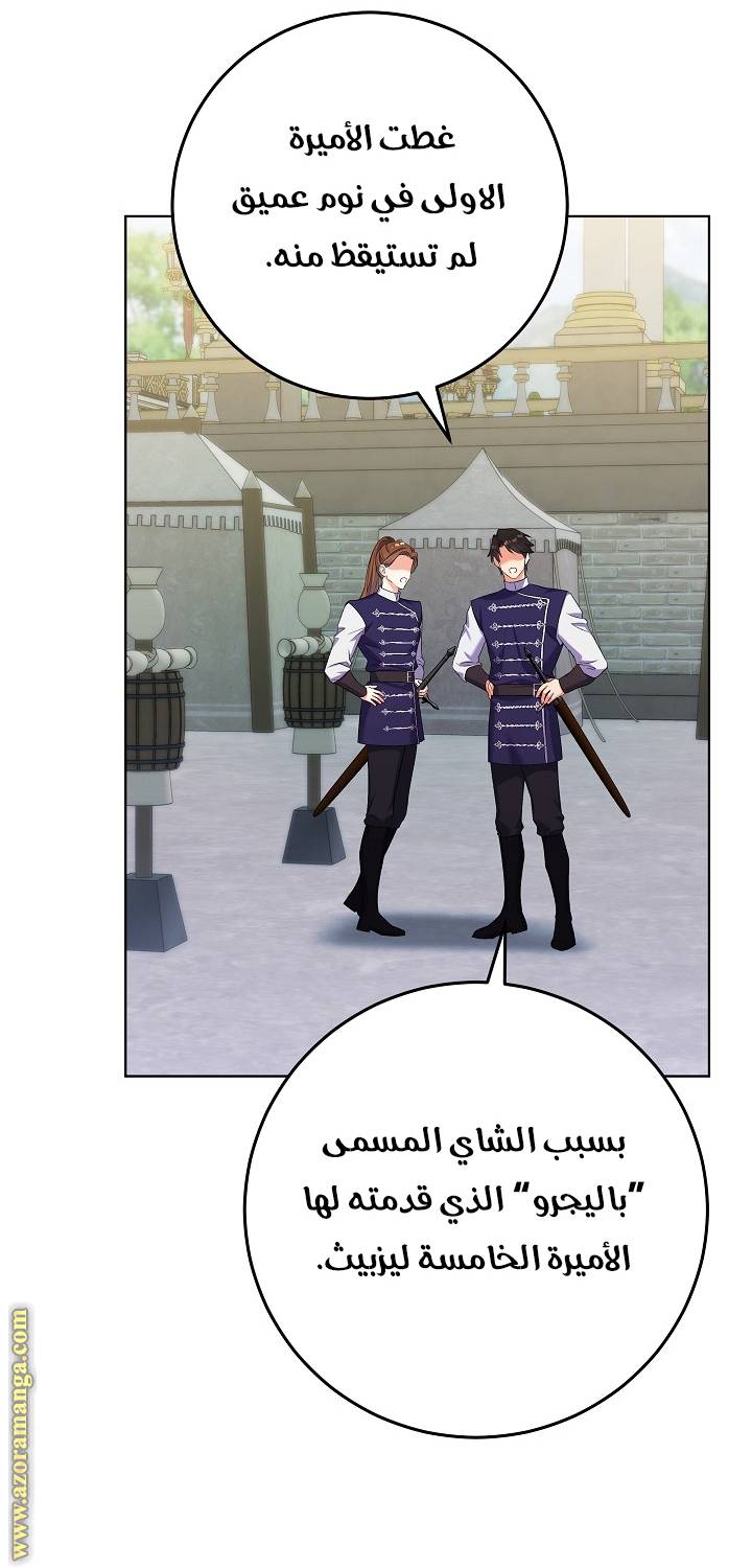 الصفحة 28