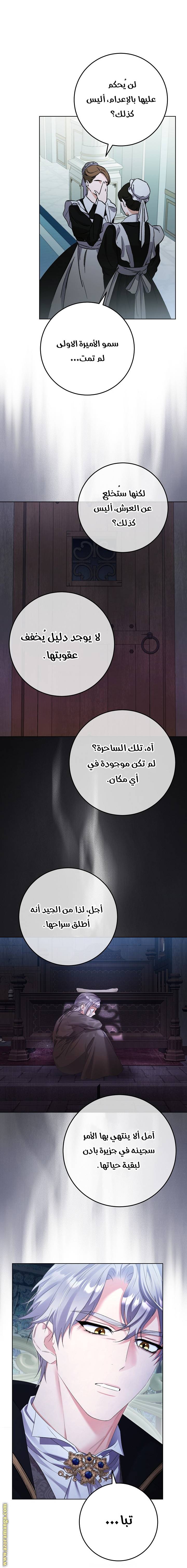 الصفحة 30