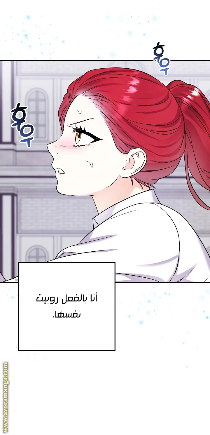 الصفحة 20