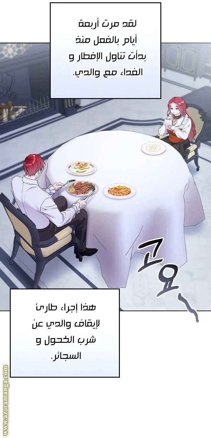 الصفحة 28