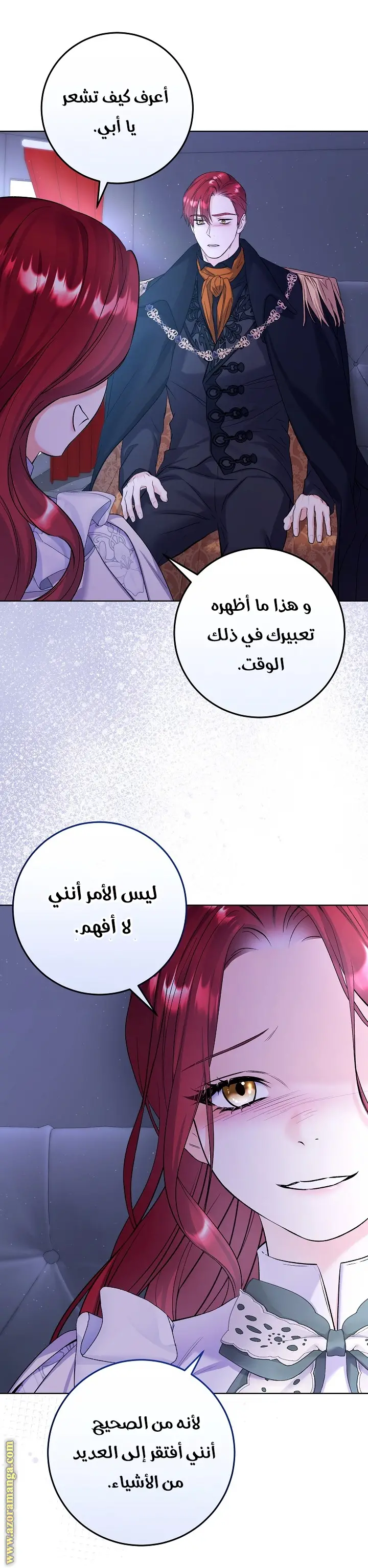الصفحة 17