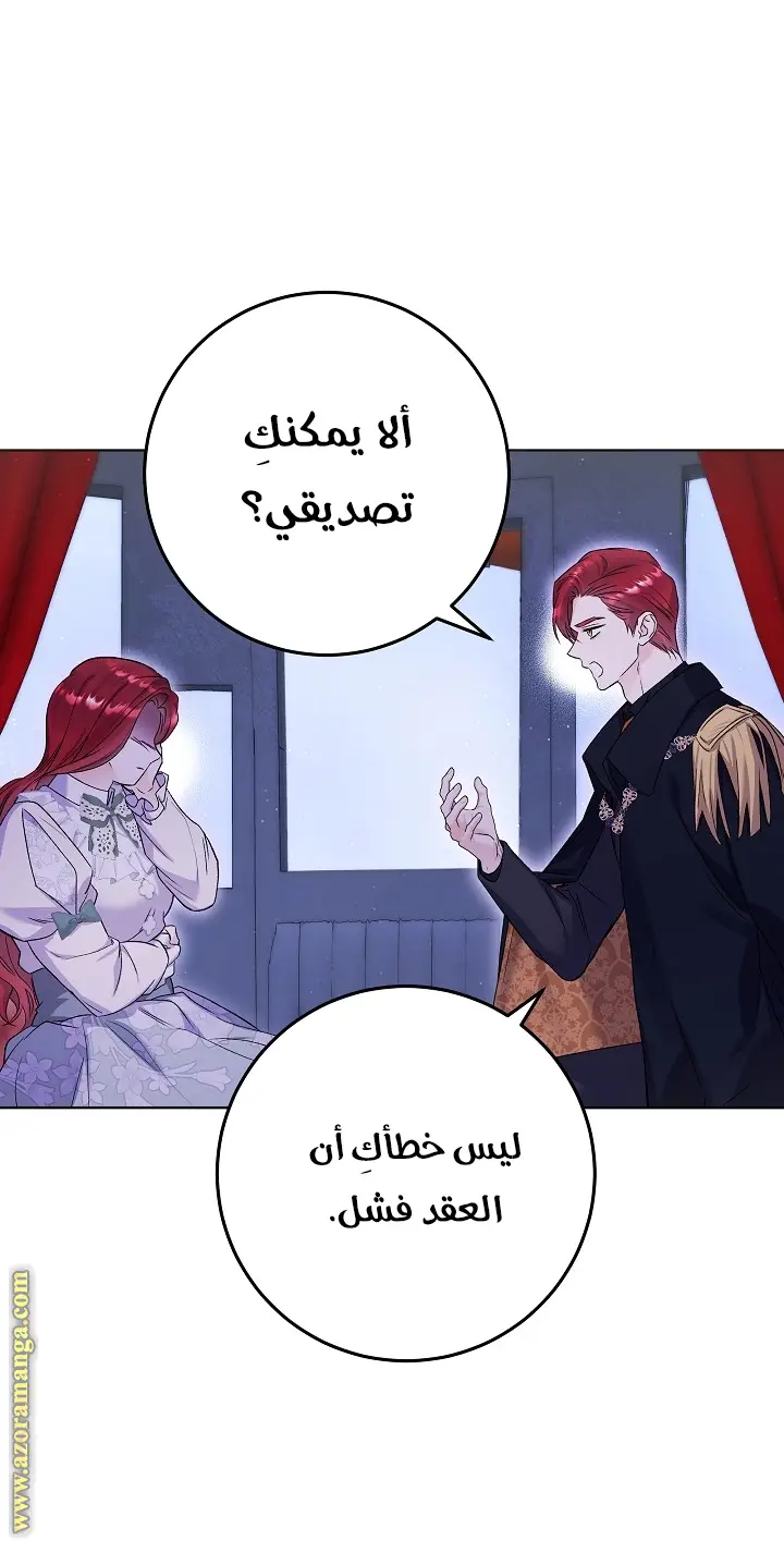الصفحة 19