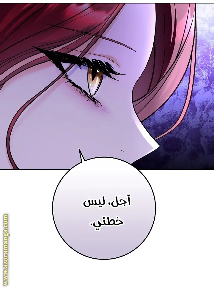 الصفحة 20