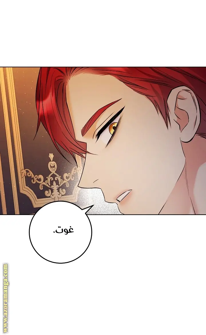 الصفحة 25