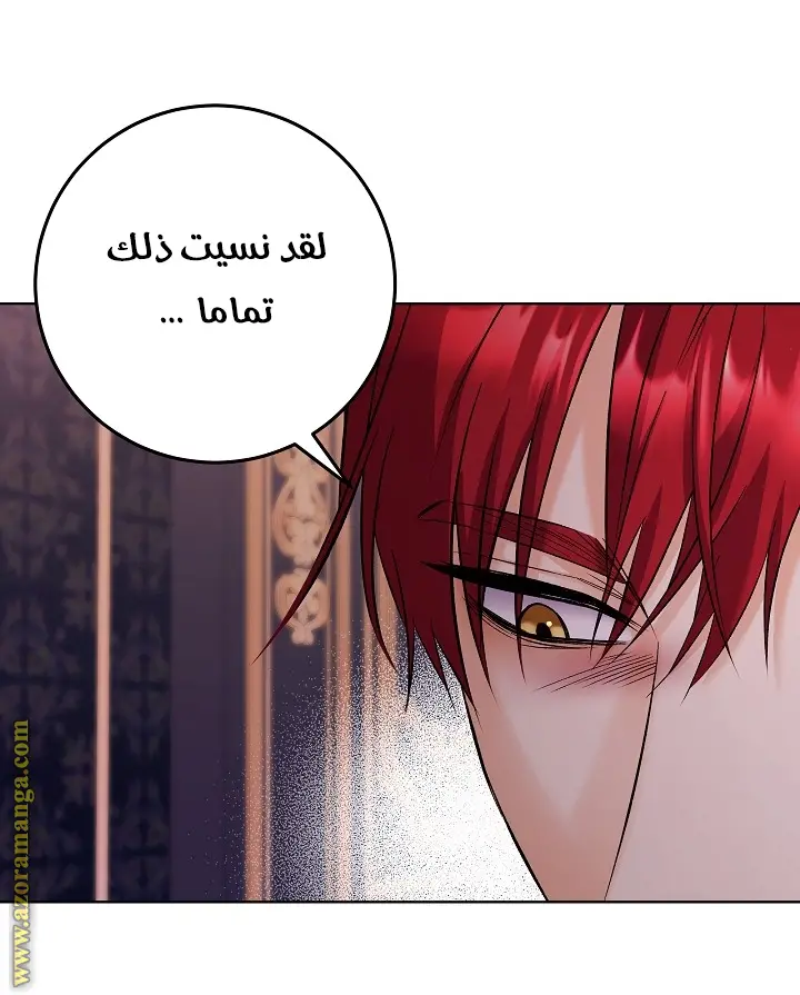 الصفحة 42