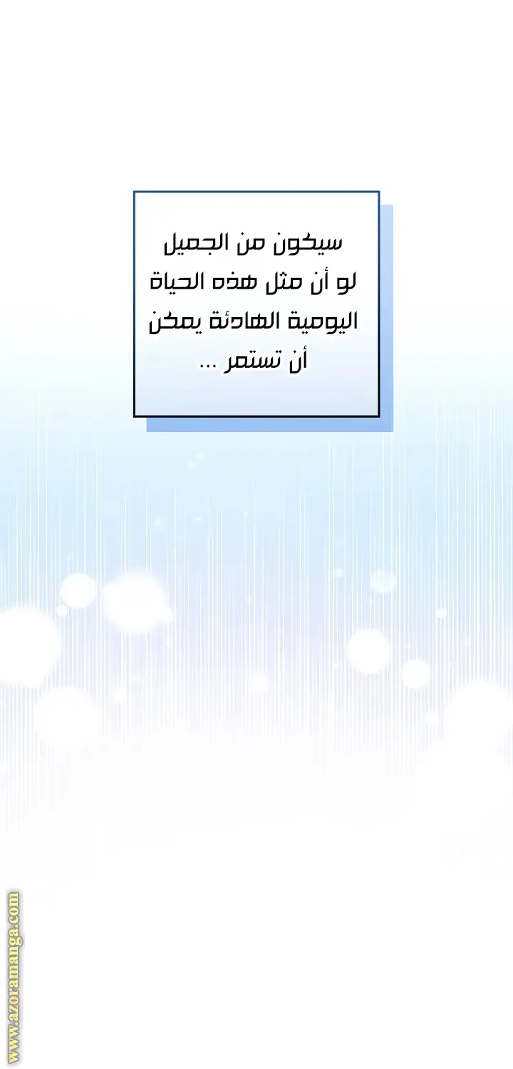 الصفحة 48