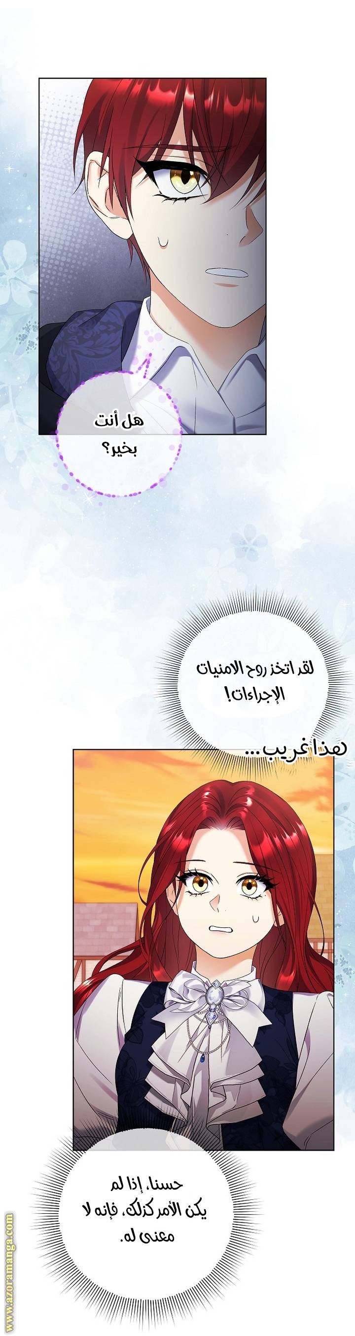 الصفحة 29
