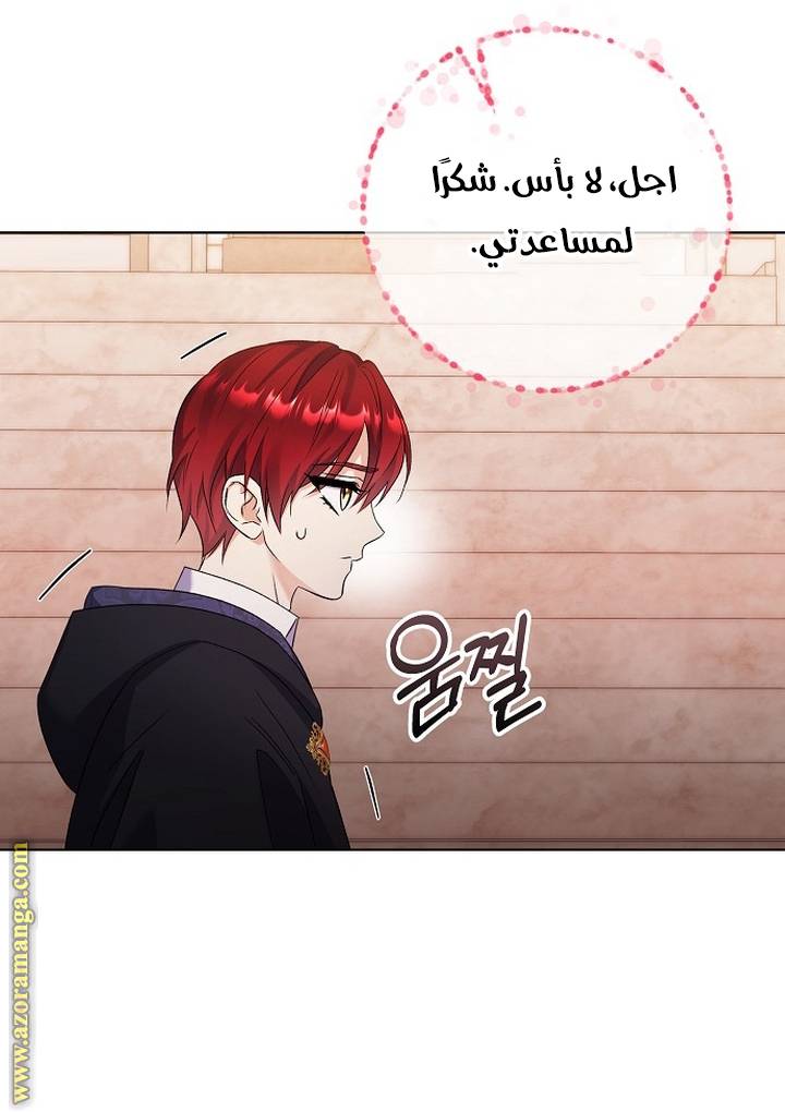 الصفحة 31
