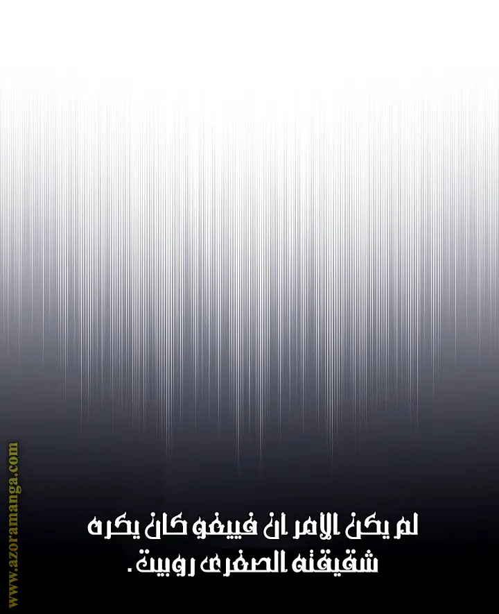 الصفحة 26