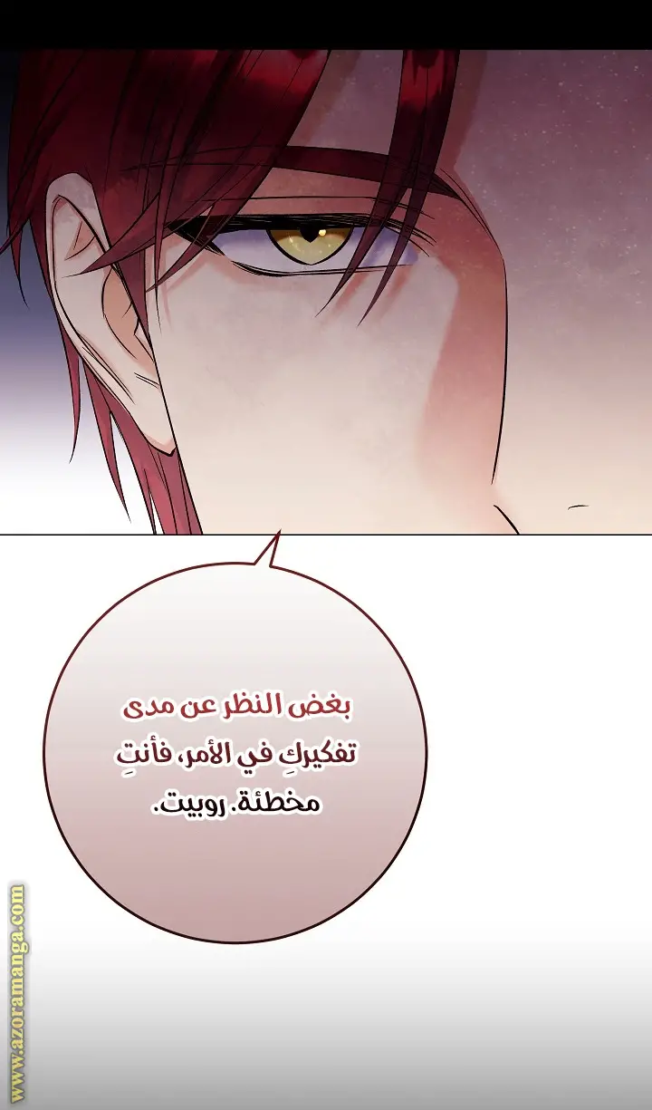 الصفحة 41