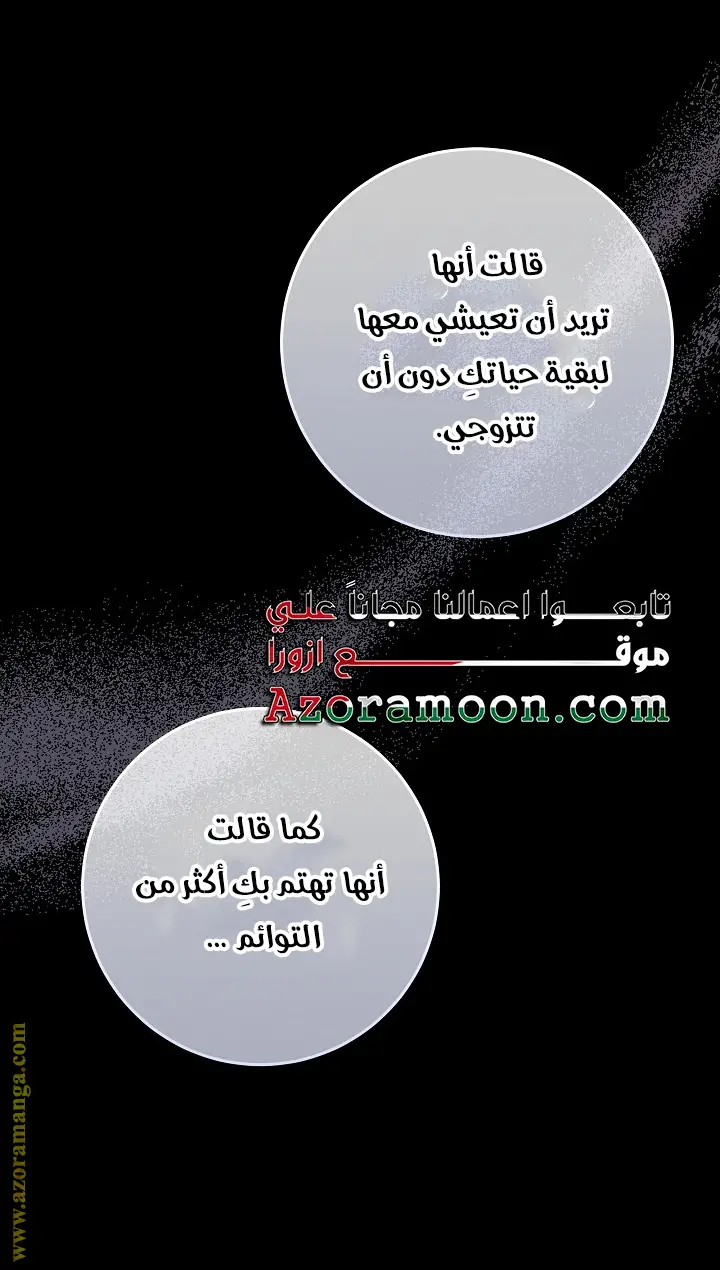 الصفحة 43