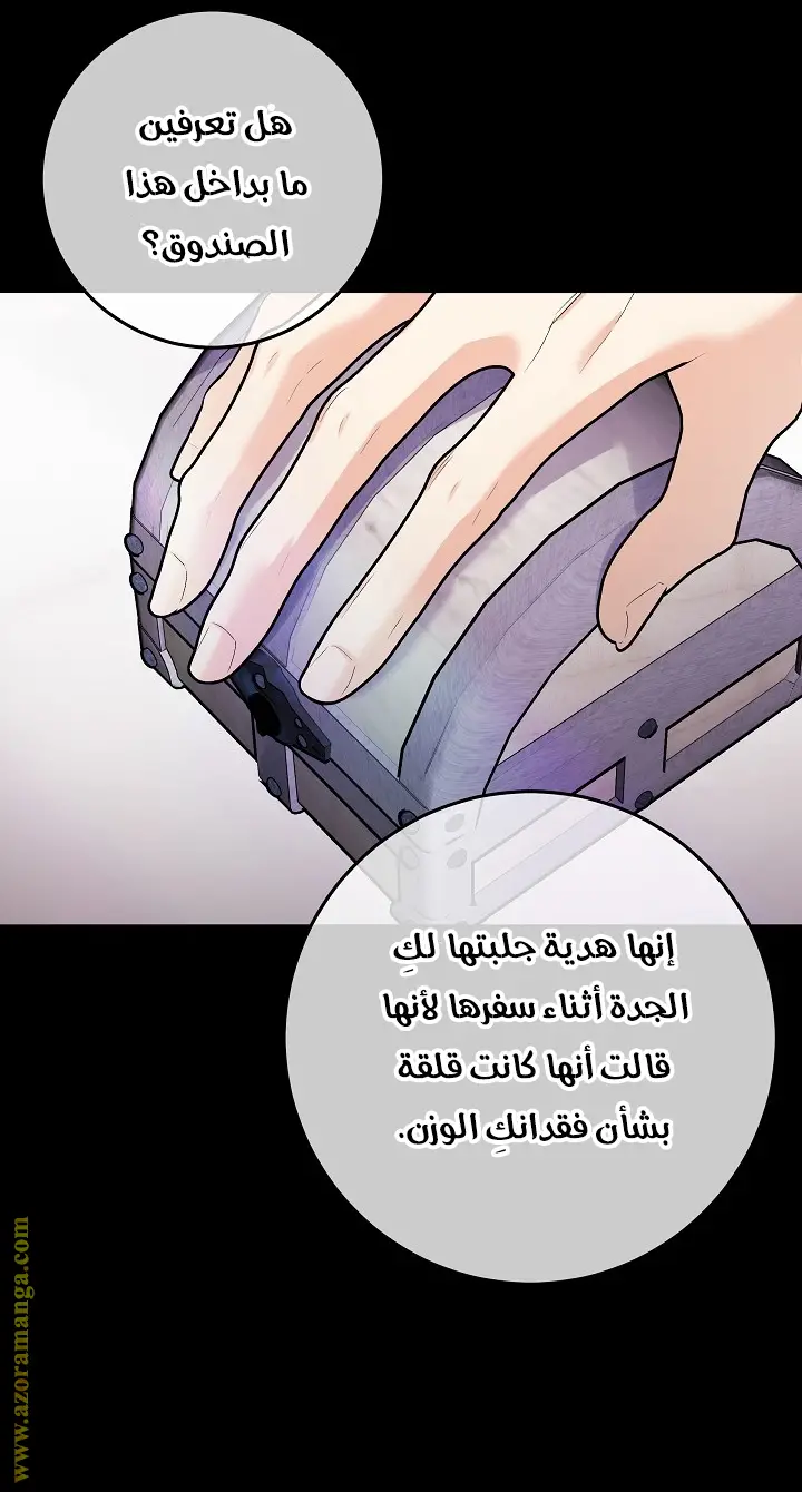 الصفحة 46