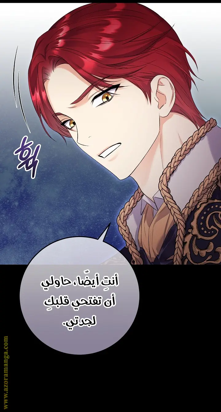 الصفحة 48