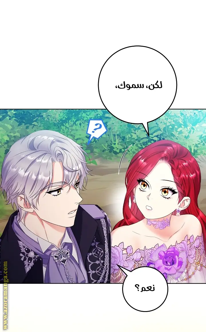 الصفحة 28