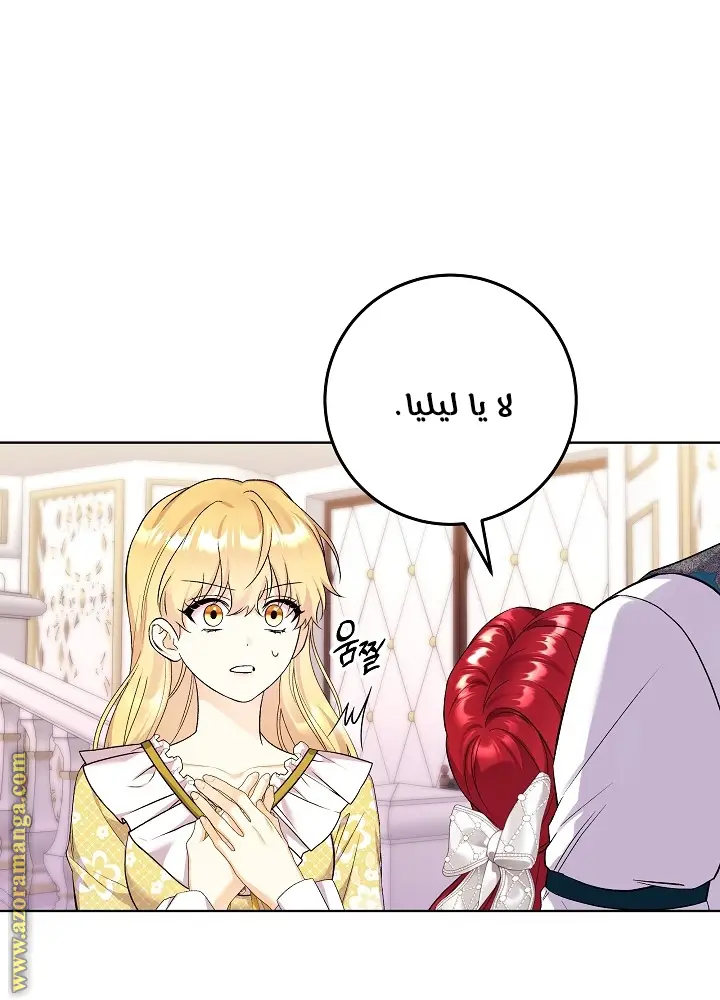 الصفحة 19
