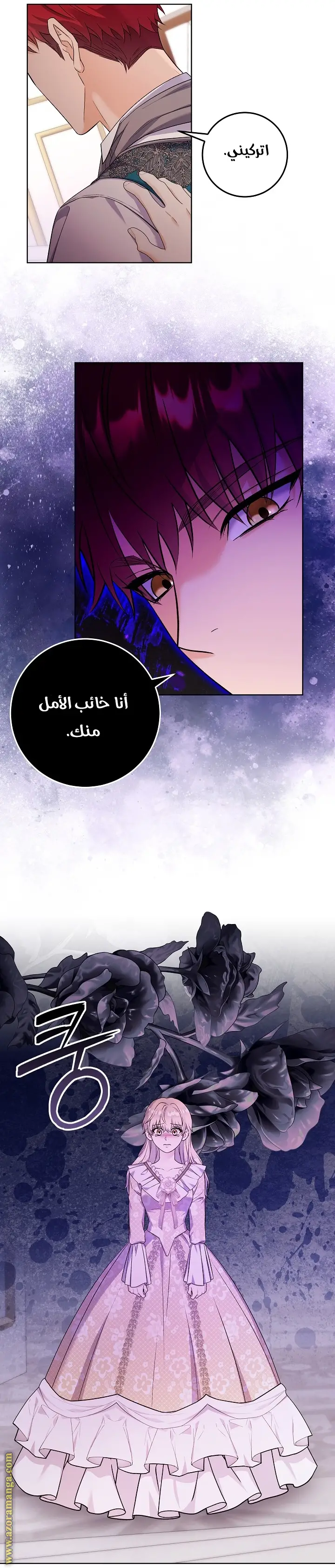 الصفحة 24