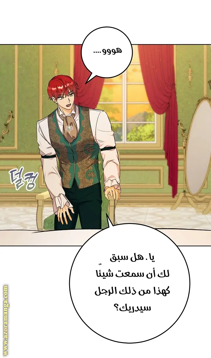 الصفحة 29