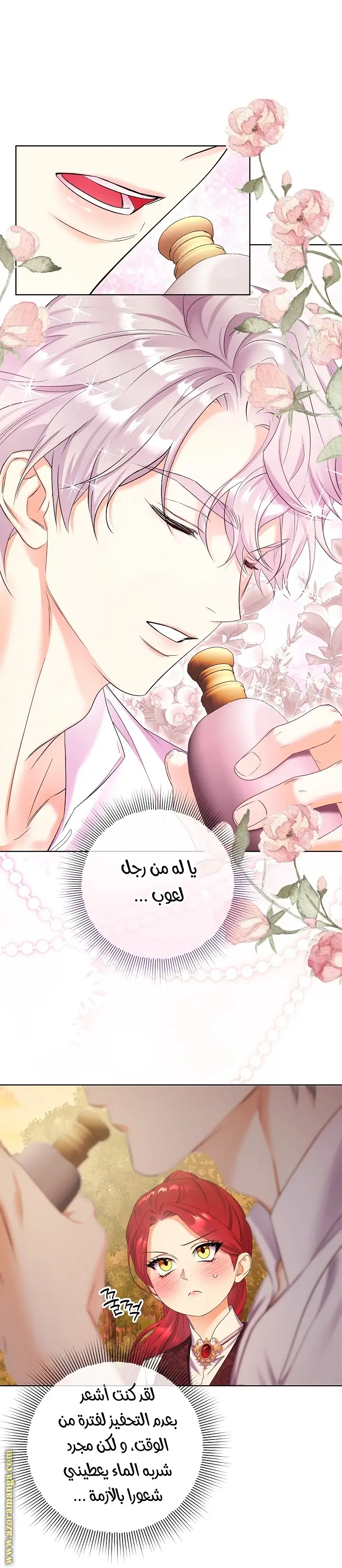 الصفحة 19