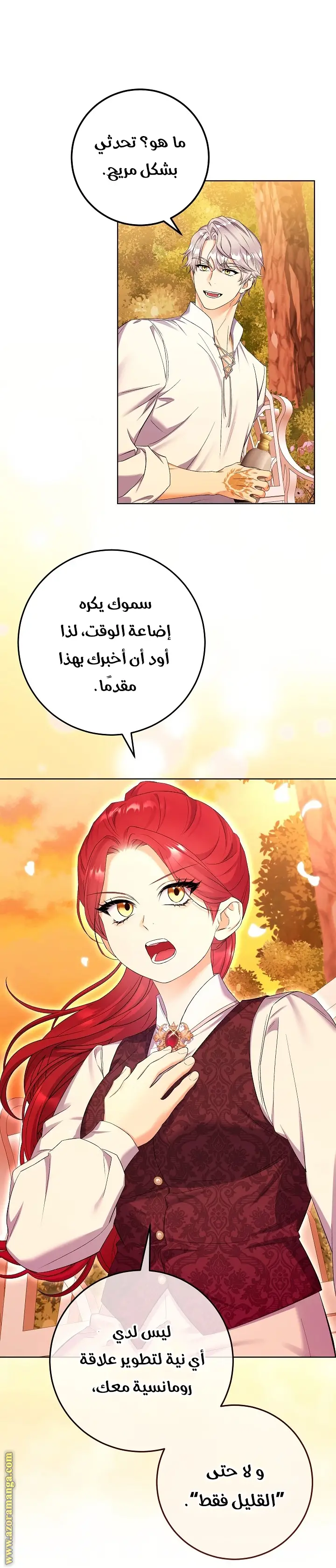 الصفحة 21