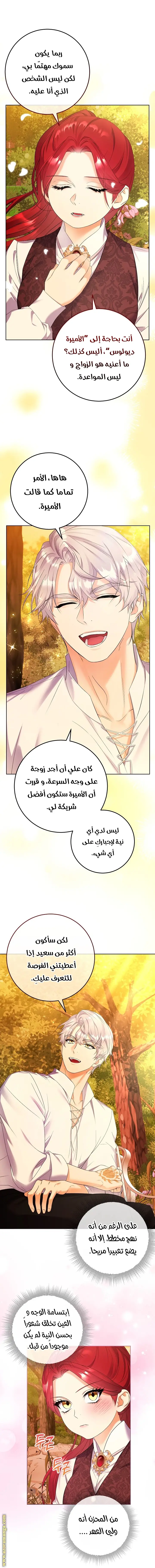 الصفحة 24