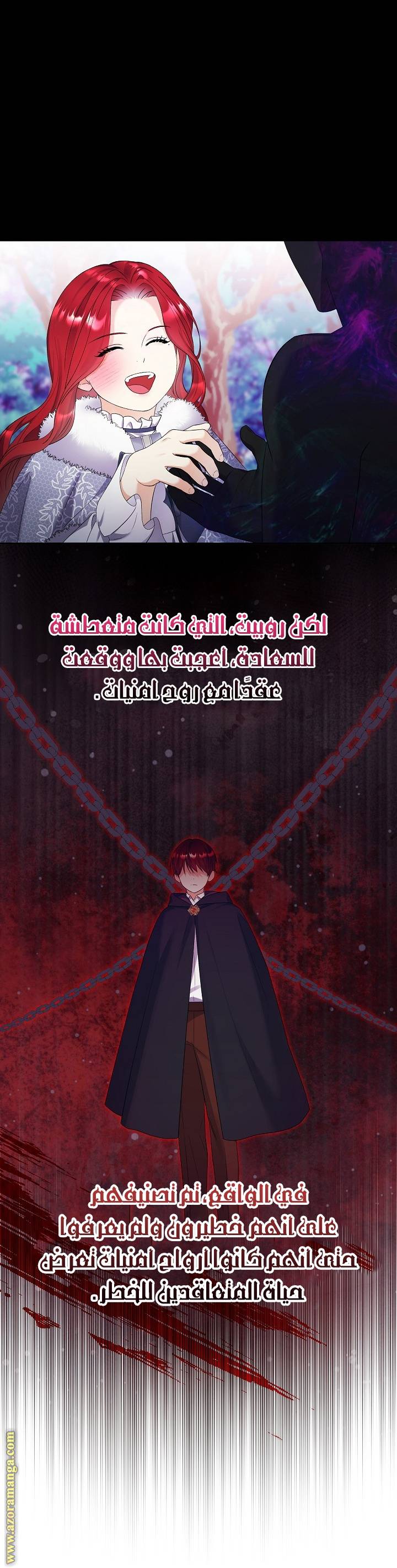 الصفحة 25